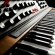 Moog - Minimoog Voyager XL panel y teclado