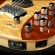 Moog Lap Steel 