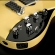 Moog Guitar Model E1 - Butterscotch 